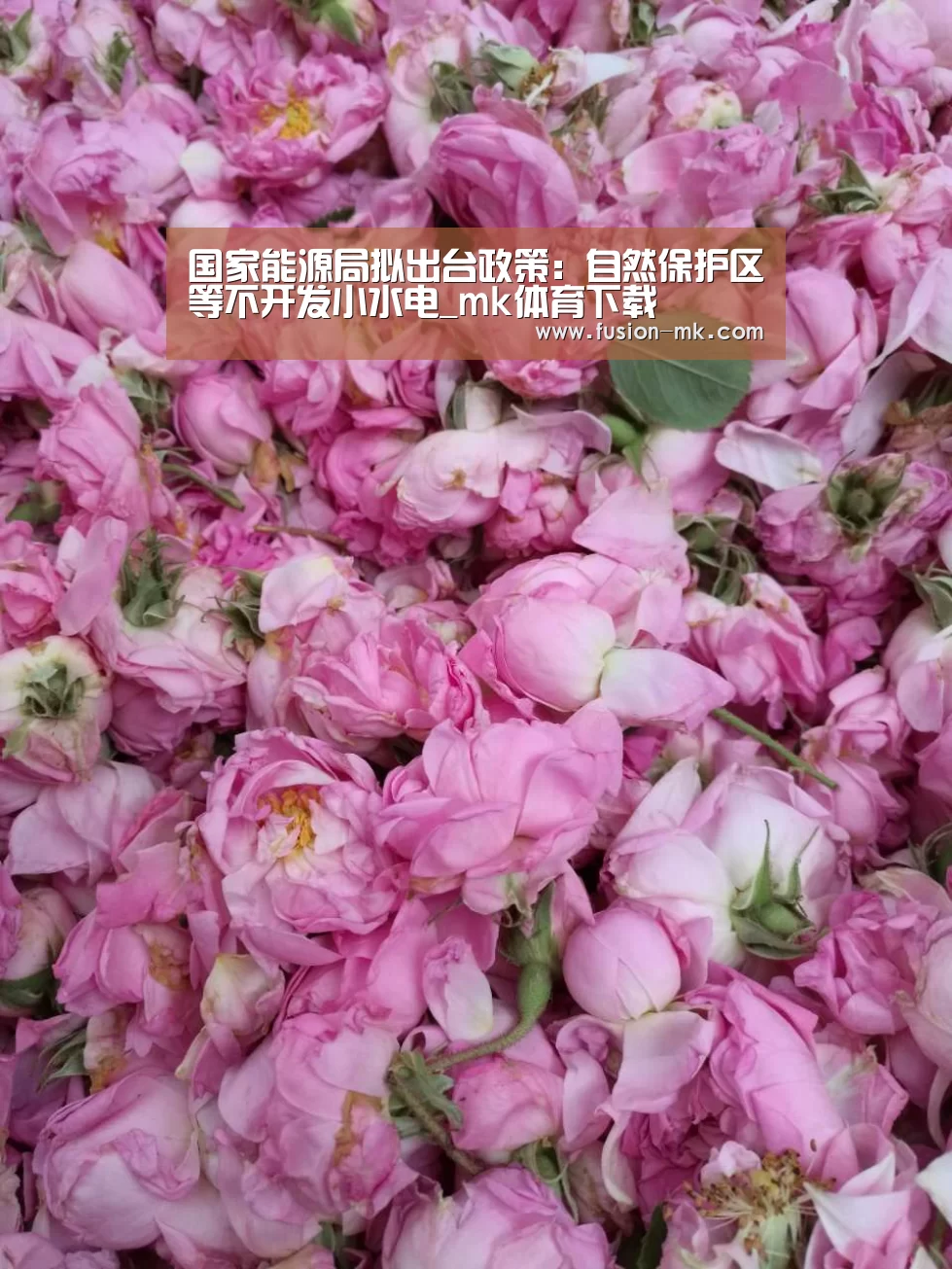 国家能源局拟出台政策:自然保护区等不开发小水电_mk体育下载(图2) mk体育注册