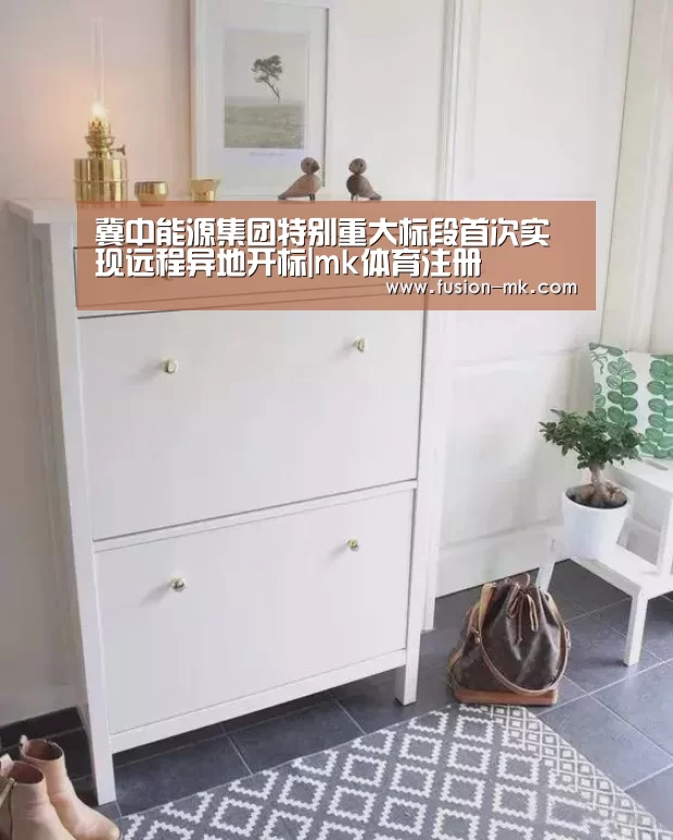 冀中能源集团特别重大标段首次实现远程异地开标|mk体育注册