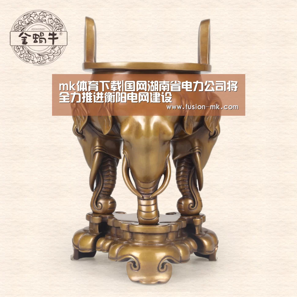 mk体育下载|国网湖南省电力公司将全力推进衡阳电网建设(图3) mk体育app