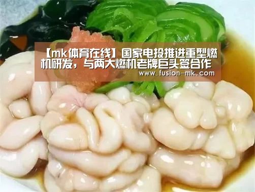 【mk体育在线】国家电投推进重型燃机研发,与两大燃机老牌巨头签合作备忘录(图1) mk体育在线